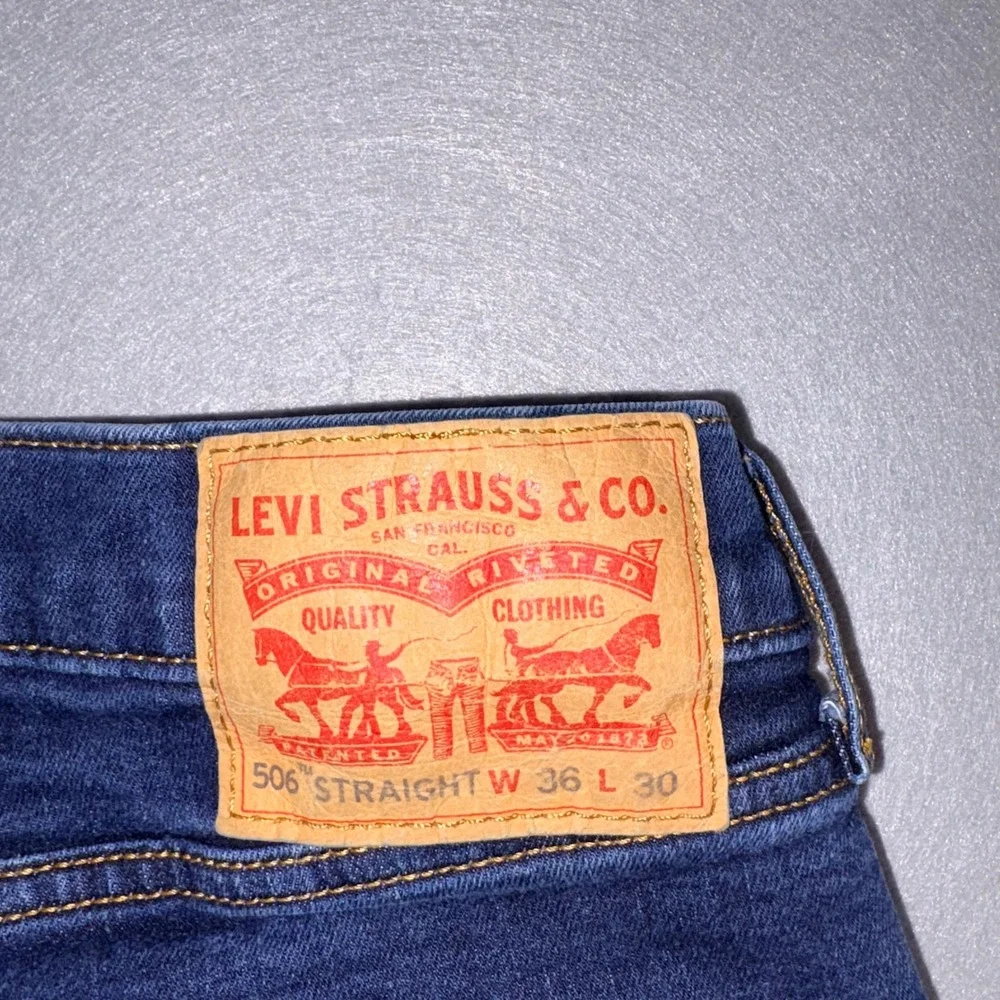 Levis levi strauss